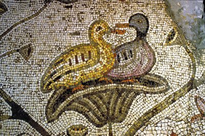 Detail from the Tabgha Mosaic by Unknown